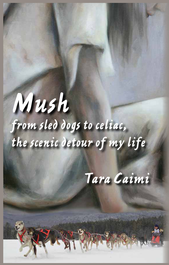 Mush book cover collage of Girl painting and sled dog team racing