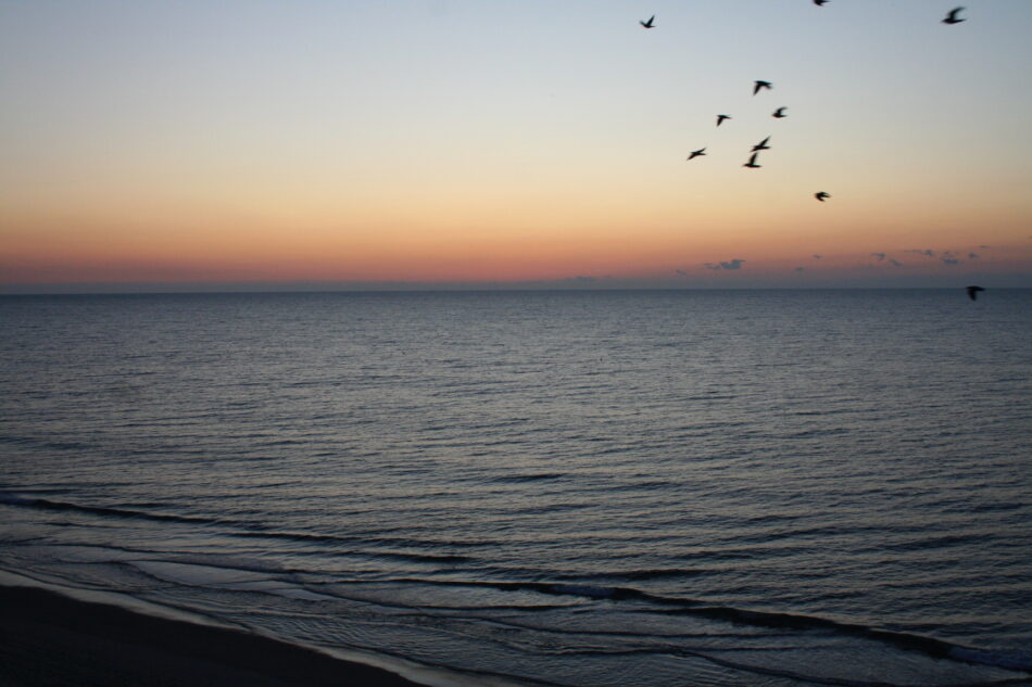Sunset over the ocean with seagulls flying in the upper right corner