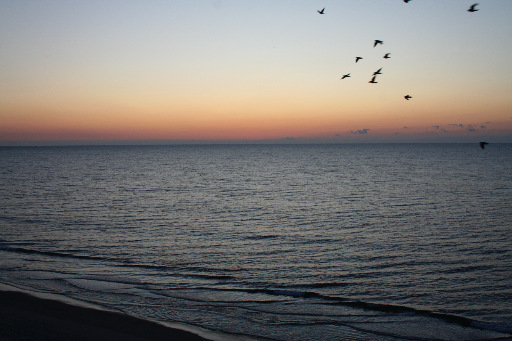 Sunset over the ocean with seagulls flying in the upper right corner